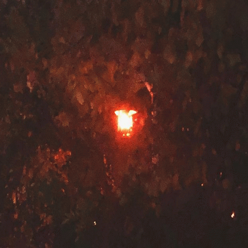 Sadness (USA) : Within the Lightseam